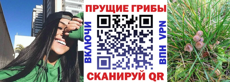 Галлюциногенные грибы Magic Shrooms  Солигалич 